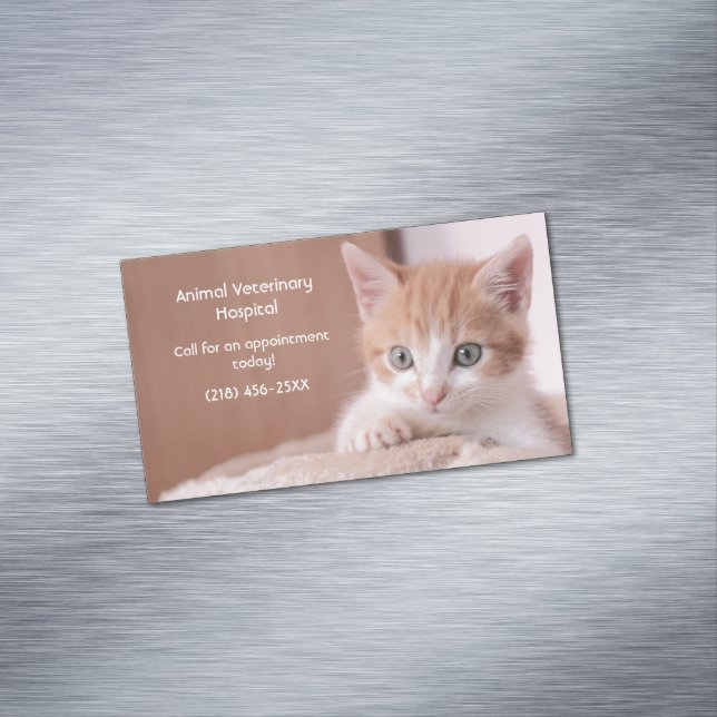 Orange Kitten Pet Care  Magnetic Business Card (In Situ)