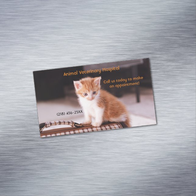 Orange Kitten Pet Care Services Appointment  Magnetic Business Card (In Situ)