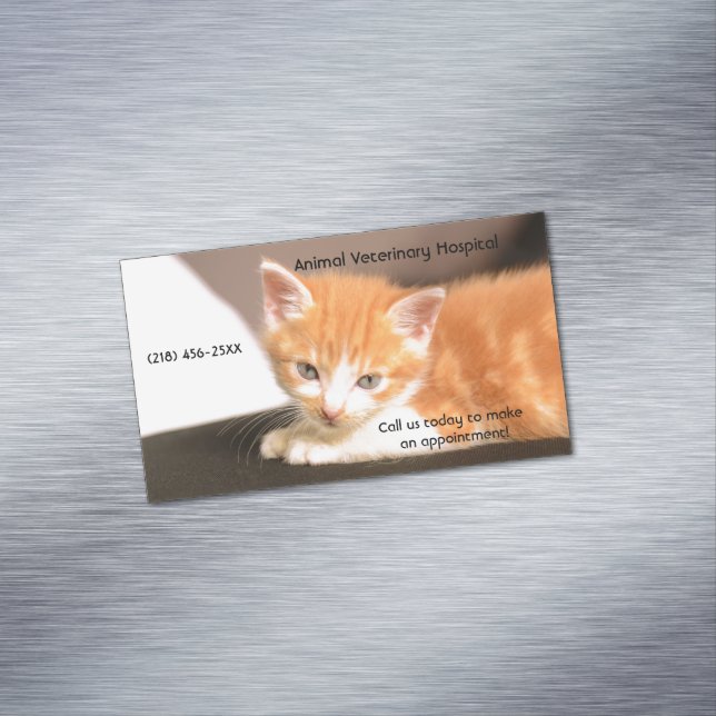 Orange Kitten Pet Care Services Appointment  Magnetic Business Card (In Situ)