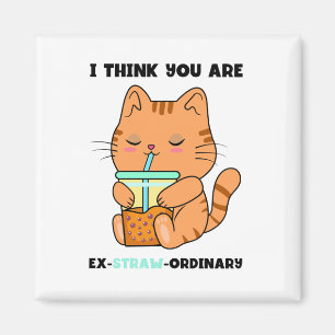 Orange kitten you are extraordinary cute boba magnet