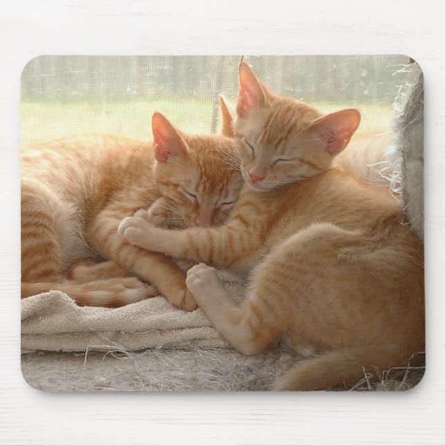 Orange Kittens Mouse Mat (Front)