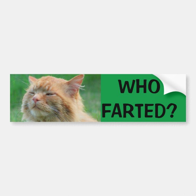 Orange Kitty asks Who Farted? Bumper Sticker (Front)
