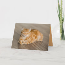 Orange Kitty Cat Cute Customisable Card