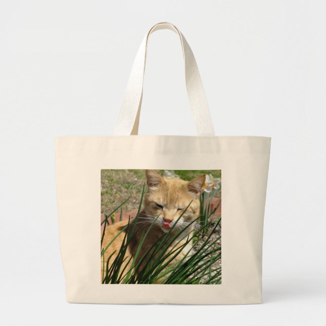 Orange Kitty Gives Raspberry Tote Bag (Front)
