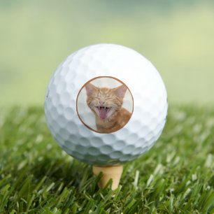 Orange Kitty - I'm In The Sand Pit Again? Golf Balls