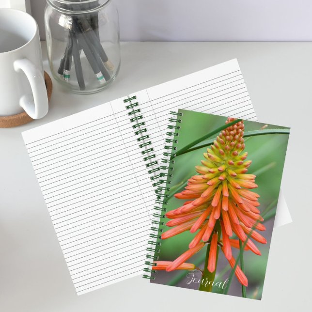 Orange Kniphofia Bloom Floral Notebook (In Situ)