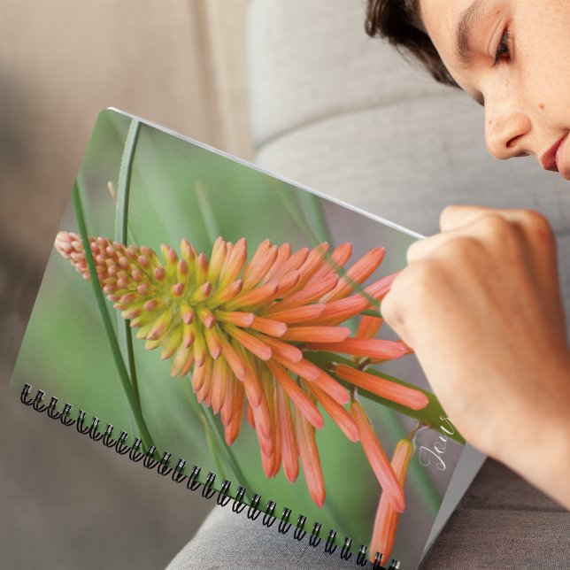 Orange Kniphofia Bloom Floral Notebook (In Situ)