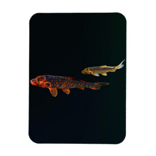 Orange Koi and Gold Koi Magnet