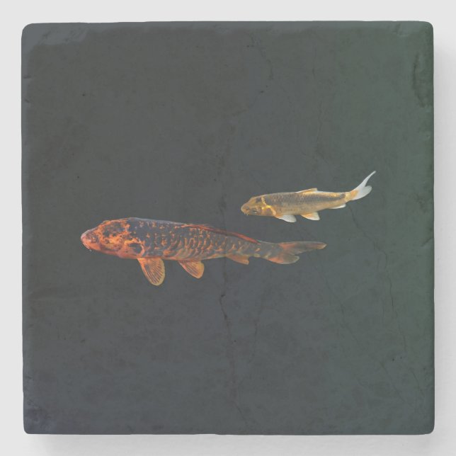 Orange Koi and Gold Koi Stone Coaster (Front)