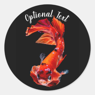 Orange Koi Betta Fighting Fish Classic Round Sticker