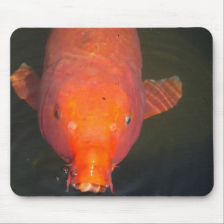 Orange Koi fish Postcard Mouse Mat