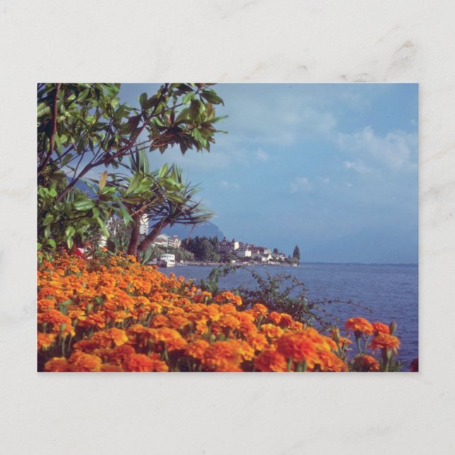Orange Lake Geneva, Montreux, Switzerland flowers Postcard (Front)