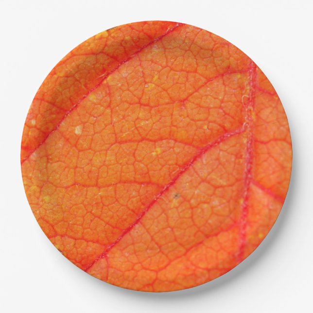 Orange Leaf Fall Photo Rustic Autumn Wedding Paper Plate (Front)