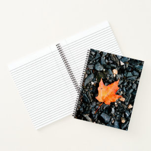 Orange Leaf on Black Rocks Spiral Notebook