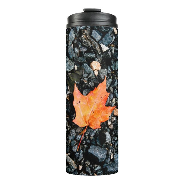Orange Leaf on Black Rocks Thermal Tumbler (Front)