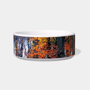 Orange leaves , in the woods bowl
