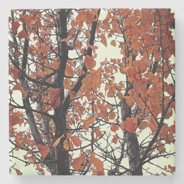 Orange leaves stone coaster (Front)