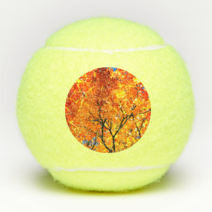 Orange leaves tennis balls