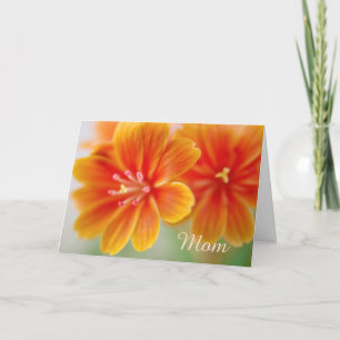 Orange Lewisia Floral Mothers Day Card