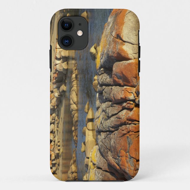 Orange Lichen on Rocks, Binalong Bay, Bay of Case-Mate iPhone Case (Back)