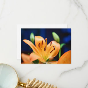 Orange Lilly Flower Blossom Thank You Card
