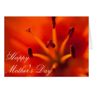 Orange Lilly Mother's Day Card
