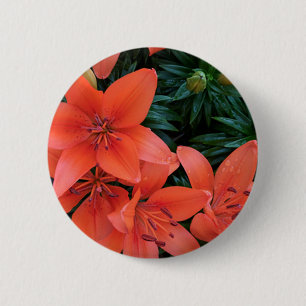 Orange Lily 6 Cm Round Badge