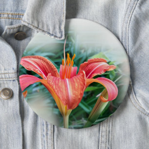 orange lily 6 cm round badge