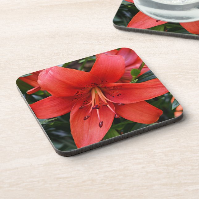 Orange Lily Bloom Floral Coaster (Left Side)
