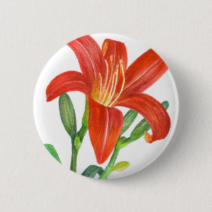 Orange Lily Botanical Illustration 6 Cm Round Badge