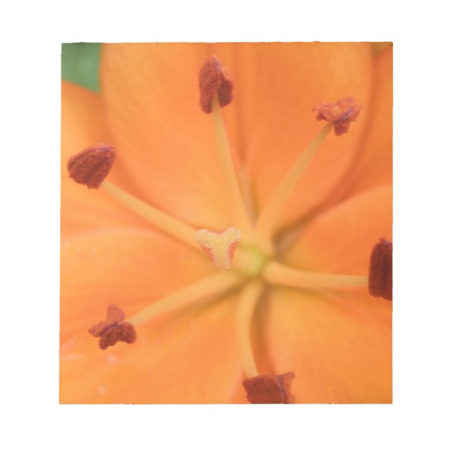 Orange Lily Floral Notepad (Front)