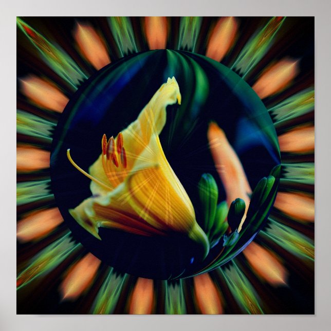 Orange Lily Flower Floral Abstract Art Poster (Front)