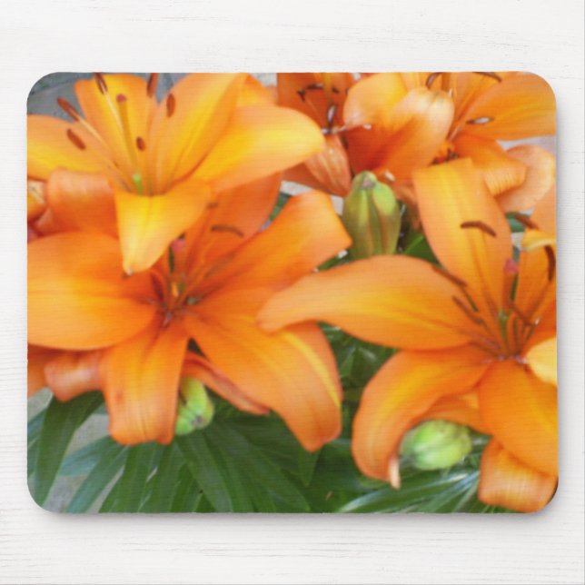 Orange Lily Flowers Mouse Mat (Front)