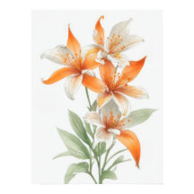 Orange Lily Flowers