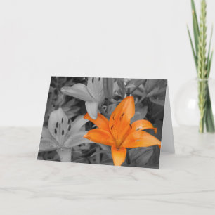 Orange Lily Hand-Coloured Card