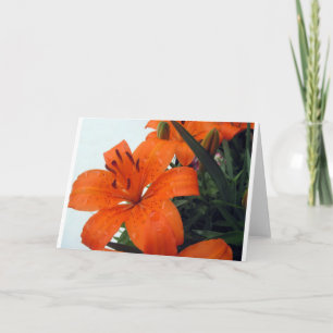 Orange LIly Holiday Card