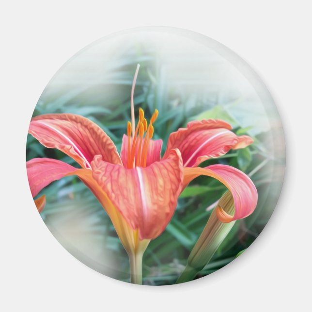 orange lily magnet (Front)