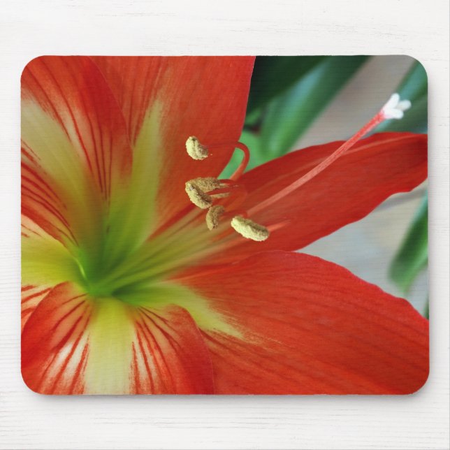 orange lily mouse mat (Front)