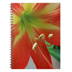 orange lily notebook