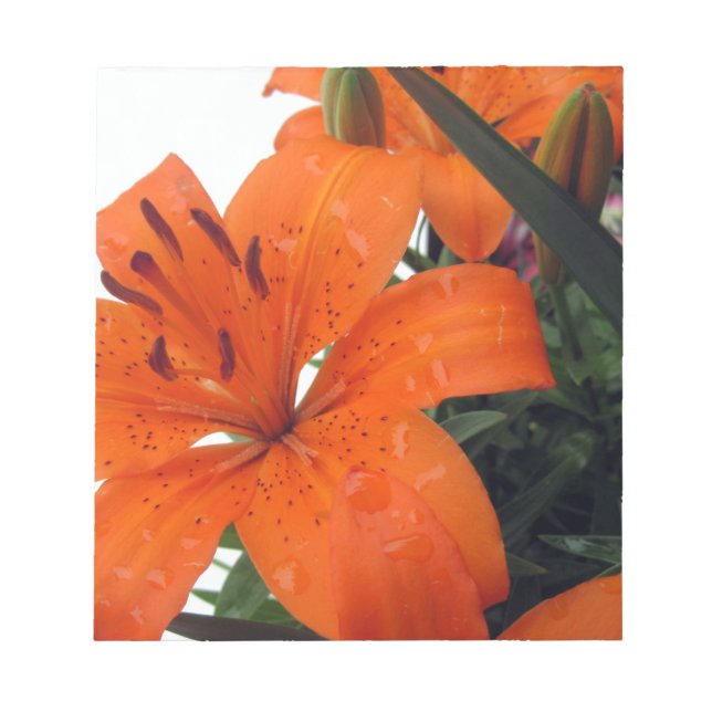 Orange LIly Notepad (Front)