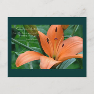 Orange Lily Postcard