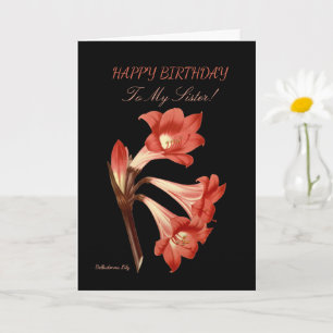 Orange Lily Sister Birthday Card