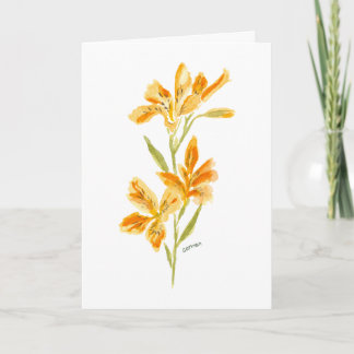 Orange Lily Watercolor Floral Greeting Card