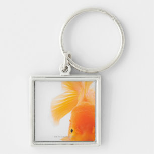Orange lionhead goldfish (Carassius auratus) Key Ring