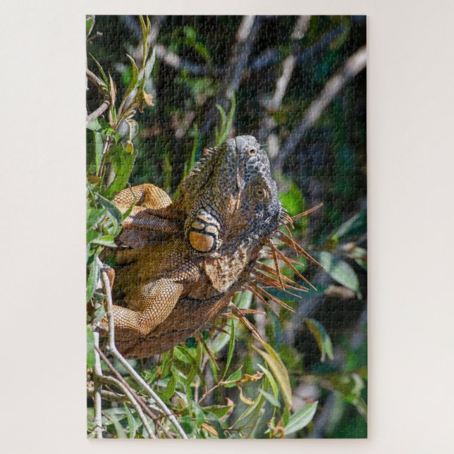Orange Lizard, Belize Iguana Jigsaw Puzzle (Vertical)