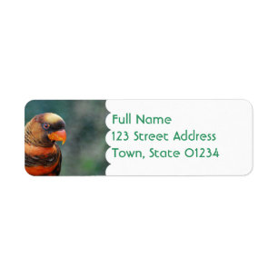 Orange Lorikeet Mailing Labels