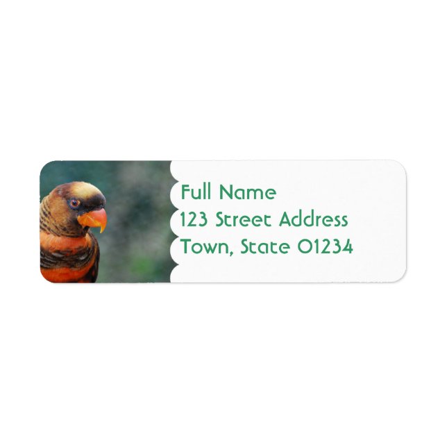 Orange Lorikeet Mailing Labels (Front)