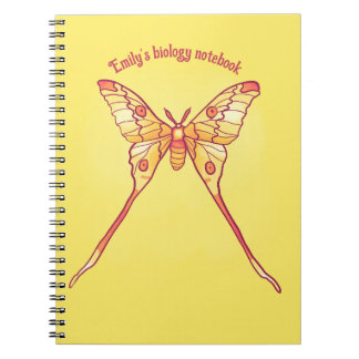 Orange Luna Moth Art – Colourful Insect Art Notebook