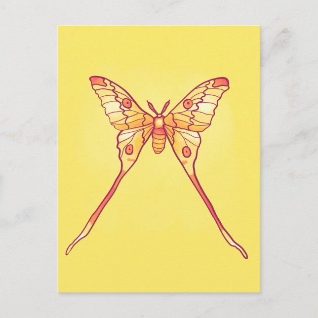 Orange Luna Moth Art – Colourful Insect Postcard (Front)