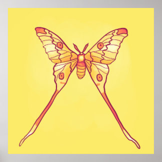 Orange Luna Moth Art – Colourful Insect Poster
